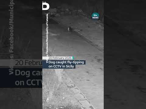 A man in Sicily has trained his dog to fly-tip rubbish to evade CCTV cameras, local police said.