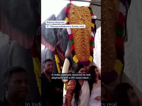 How robots will act like animals | DW News