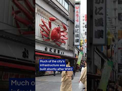 Osaka mayor speechless after gold bar gift for water pipes | DW News