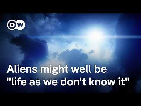 If US govt files showed there really are aliens, could we even recognise them? | DW News