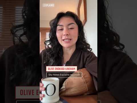 Meet Olive: Sky News’ Explains Reporter