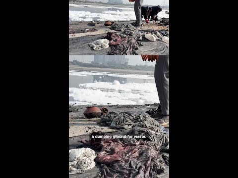 This river in India is covered in toxic foam