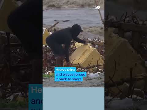 Colombia: Rainfall turns tourist destination into a garbage dump | DW News