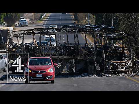 Mexico: President tries to calm fears after troops and cartel clash