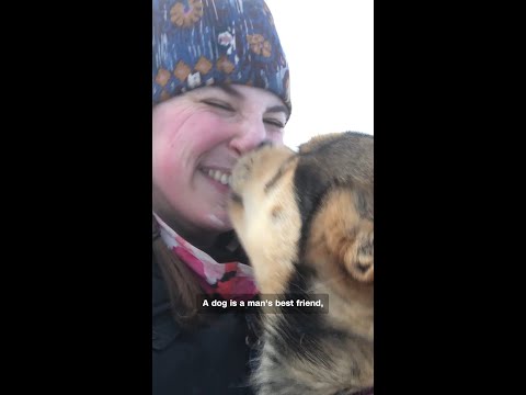 Inside the world of sled dog racing