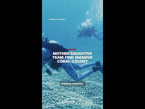 World’s largest coral colony discovered by mother-daughter team off Australian coast