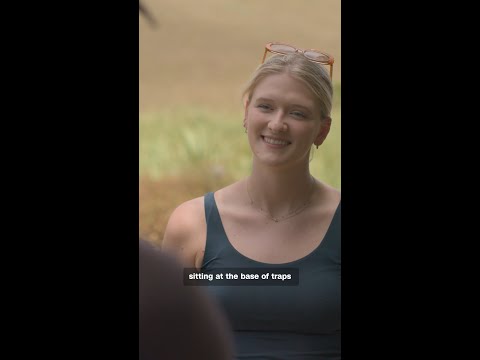 New Zealand’s mission to eradicate feral cats