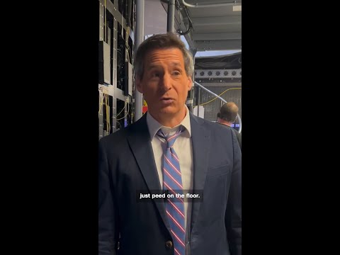 Two Puppy Bowl puppies pee during CNN segment