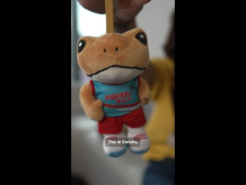 The story behind Bad Bunny’s Sapo Concho