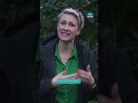 Are spring flowers blooming earlier than usual? #Spring #Weather