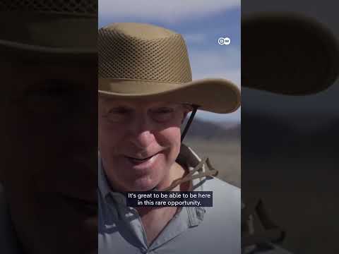 Death Valley bursts into bloom | DW News