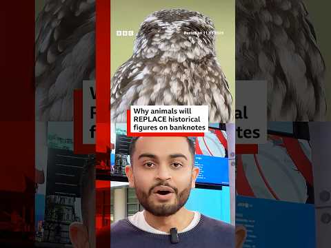 This is why animals will replace historical figures on banknotes in England and Wales. #BBCNews