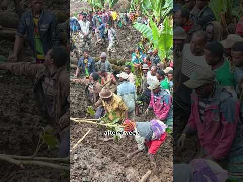 Landslides kill 50 in Ethiopia