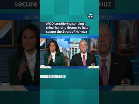 MOD considering sending mine-hunting drones to the Middle East to help secure the Strait of Hormuz