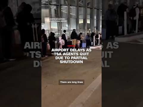 Airport delays as TSA agents quit due to partial shutdown