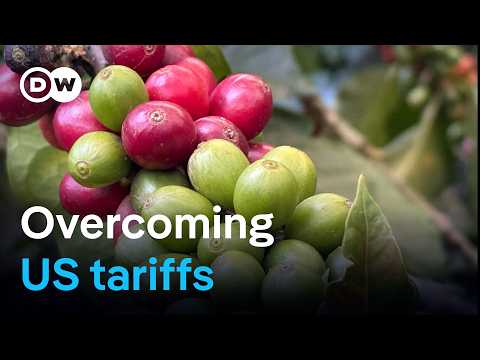 Colombia’s agriculture: Between tariffs and the search for new markets | DW Business