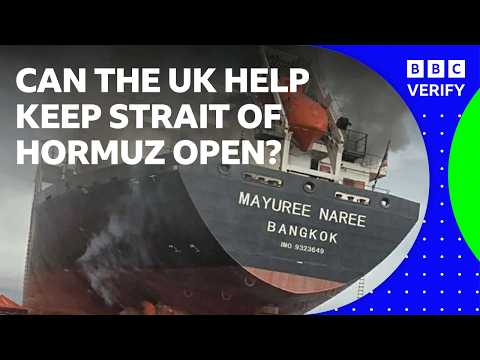 How might the UK support shipping in the Strait of Hormuz? | BBC News
