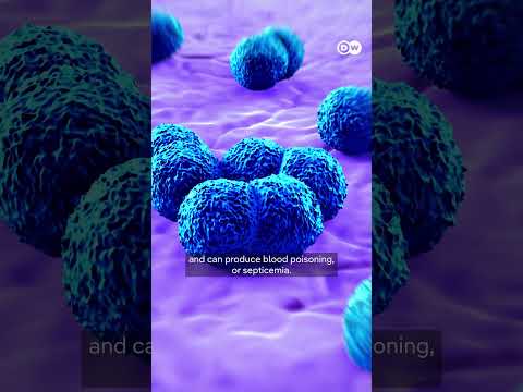 The UK’s ‘unprecedented’ meningitis outbreak: what we know | DW News