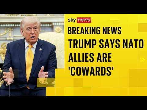 Furious Trump rages at NATO allies and calls alliance a ‘paper tiger’