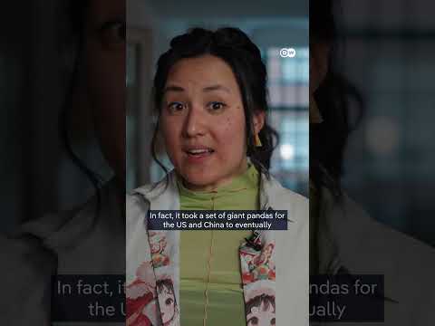 How Chinamaxxing boosts China’s soft power | DW News