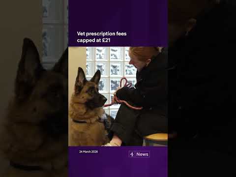 Vet prescription fees capped at £21