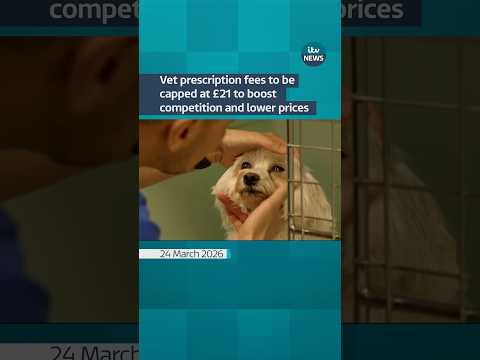 Vet prescription fees to be capped at £21 to boost competition and drive down prices