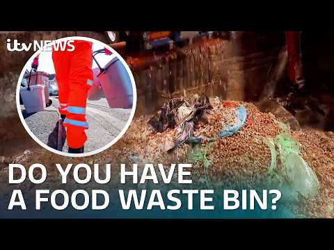 Why some councils in England will miss March target to tackle food waste