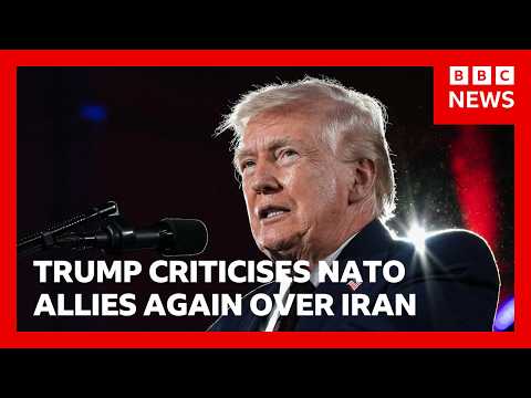 Donald Trump criticises Nato allies again over Iran | BBC News