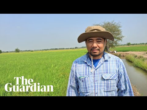 Rising petrol prices spell chaos for Thailand’s farmers