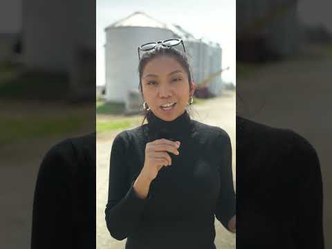 American farmers fret over energy crisis | DW News