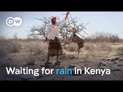 A crisis compounding: drought and dwindling aid in northern Kenya | DW News