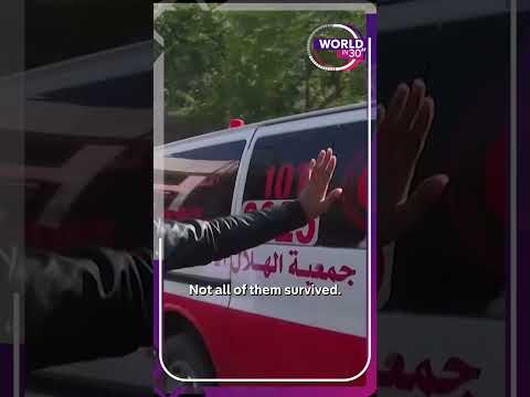 Gaza babies reunited with their families