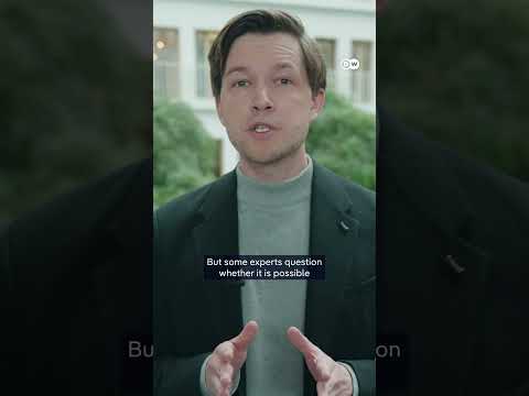 Why Germany’s Left Party is divided over what it means to be Zionist | DW News