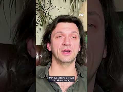 Are chimps chasing the buzz? | DW News