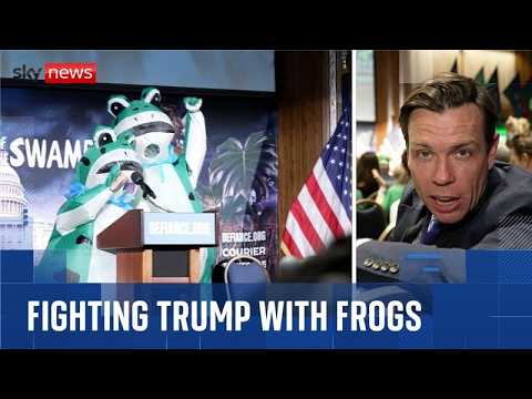 What does the Democratic fight back look like?