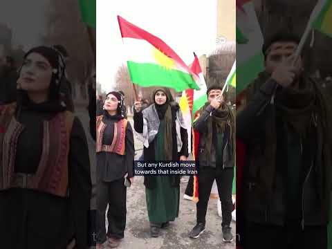 Will Kurdish fighters help the US in Iran? | DW News