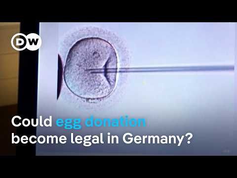 ‘I Had No Other Choice’: Why Women Leave Germany to Have Children | DW News