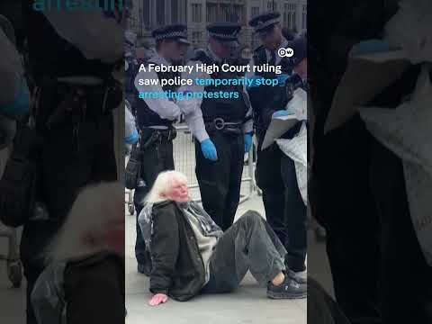 Hundreds arrested in London at Palestine Action protest | DW News