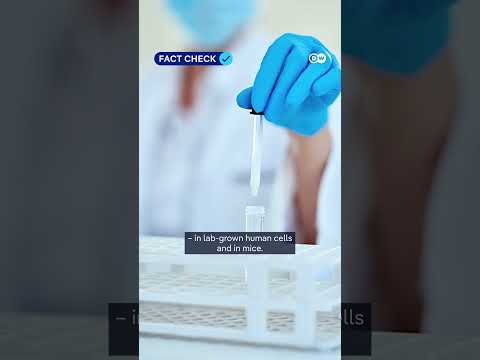 Fact check: Can Honey Bees really “cure cancer”? | DW News