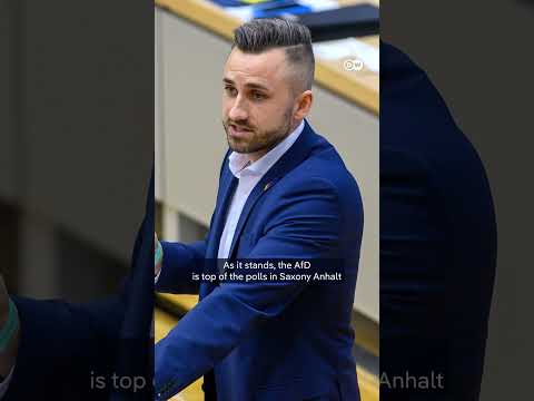 The far-right AfD’s ‘radical’ vision for Germany? | DW News