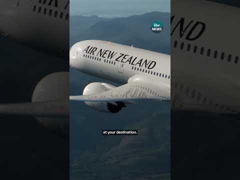 Air New Zealand is adding bunk beds to some of its planes #travel #plane