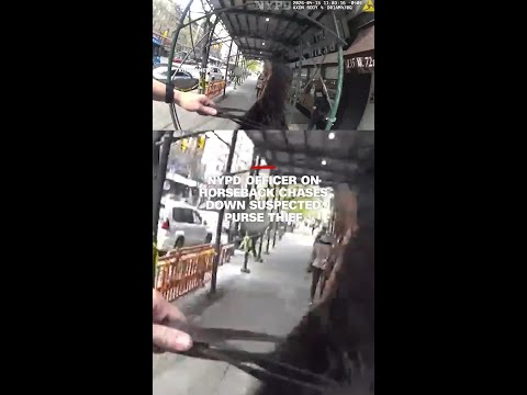NYPD officer on horseback chases down suspected purse thief