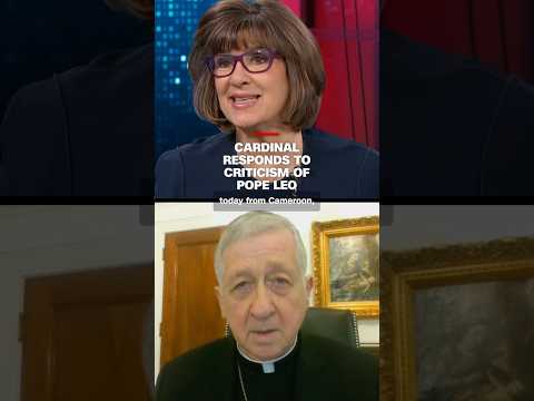Cardinal responds to criticism of Pope Leo