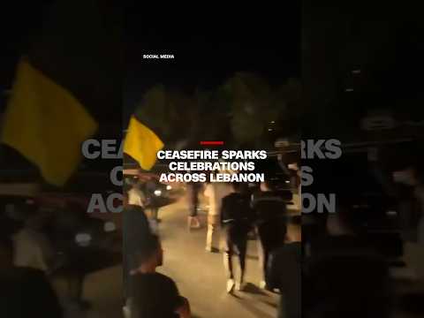 Ceasefire sparks celebrations across Lebanon