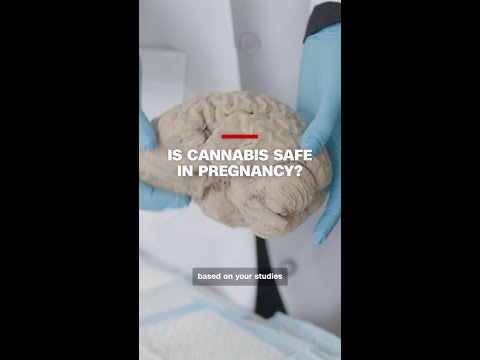 Is cannabis safe in pregnancy?