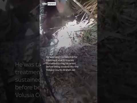 Fugitive arrested after dramatic woodlands chase