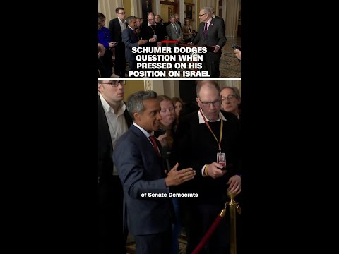 Schumer dodges question when pressed on his position on Israel