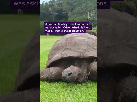 World’s oldest tortoise still alive despite scam rumour