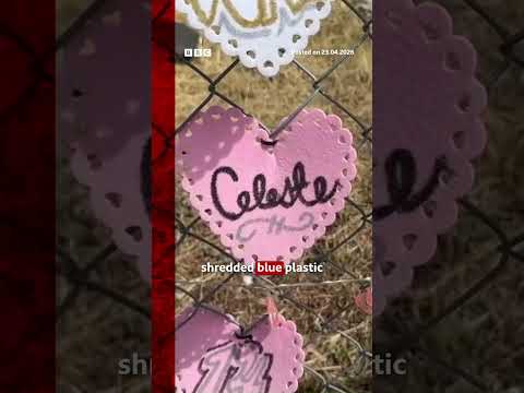 Teen found in singer D4vd’s car died of ‘multiple injuries’. #D4vd #CelesteRivasHernandez #BBCNews