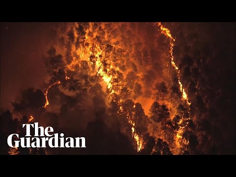 Wildfires tear across northern Japan
